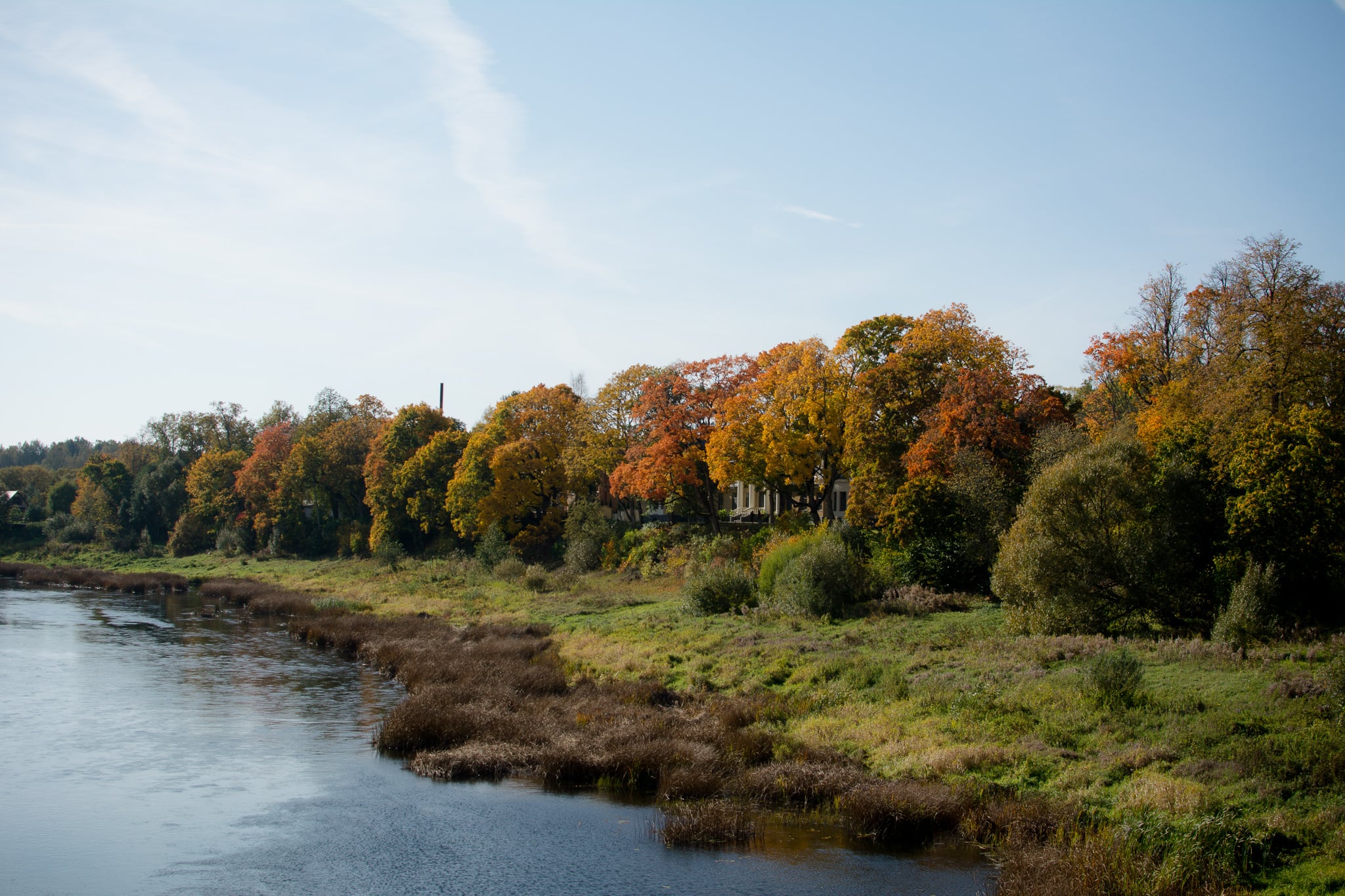 Autumn Forest Latvia