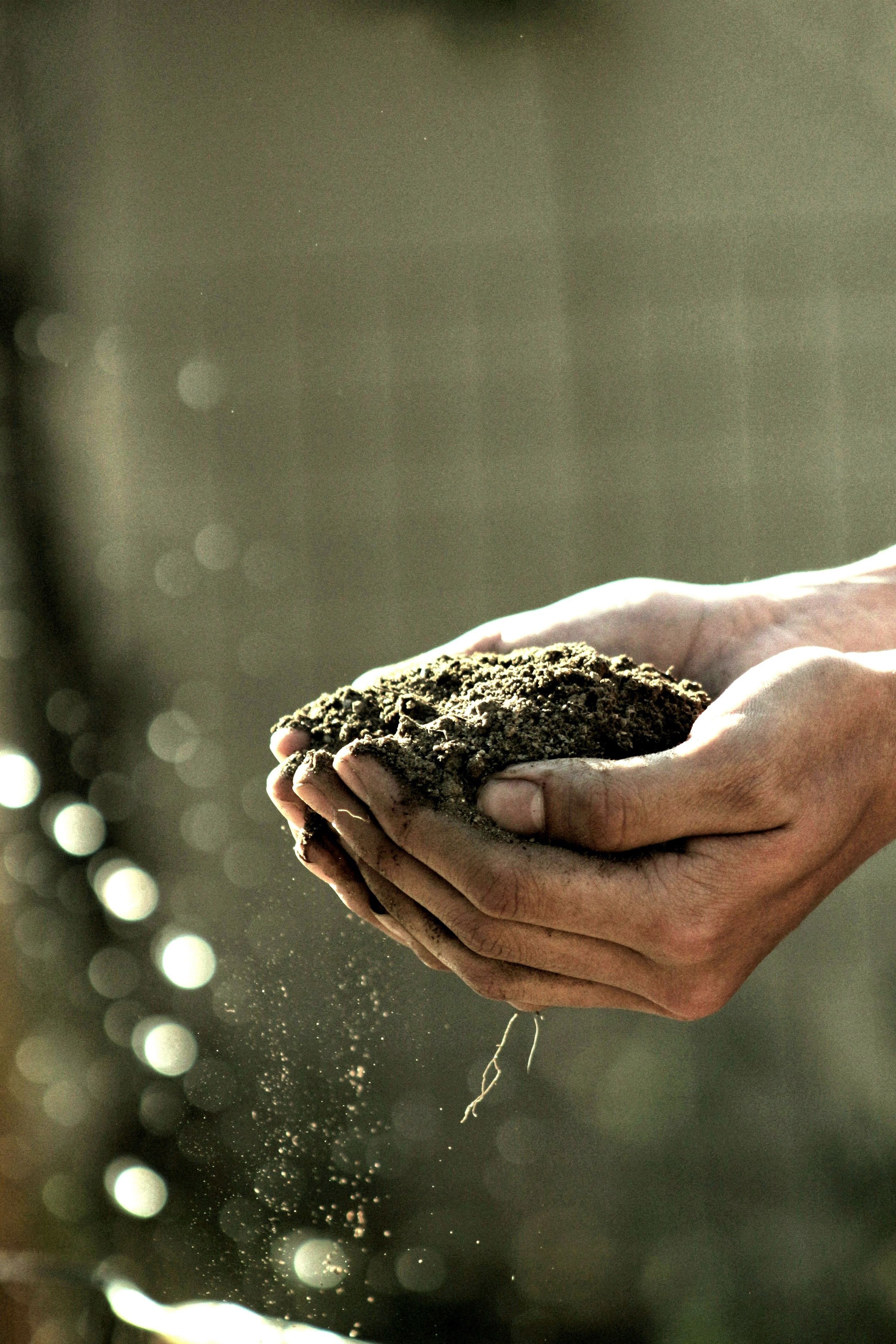 Hands working with soil