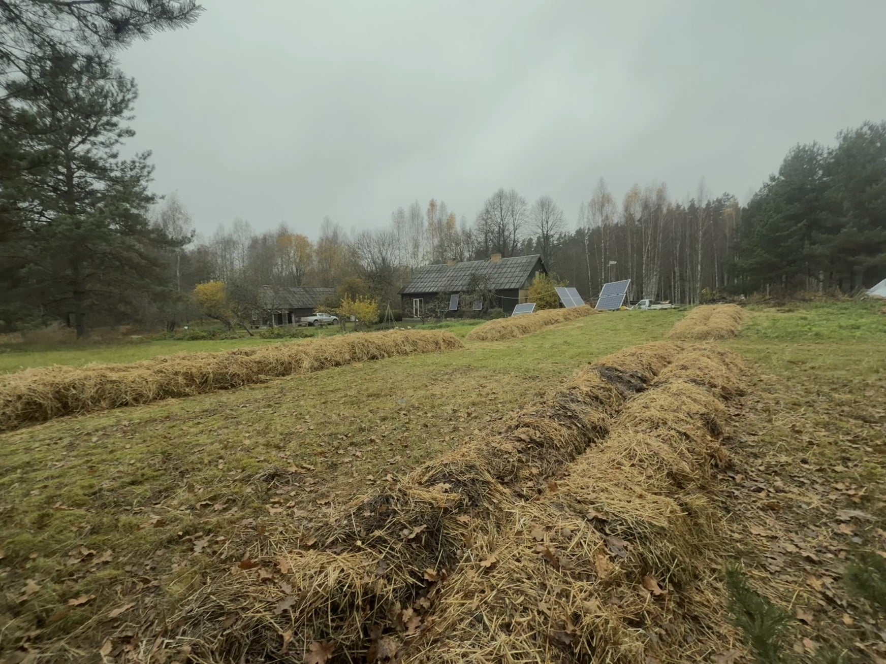 Trīsūļi farm