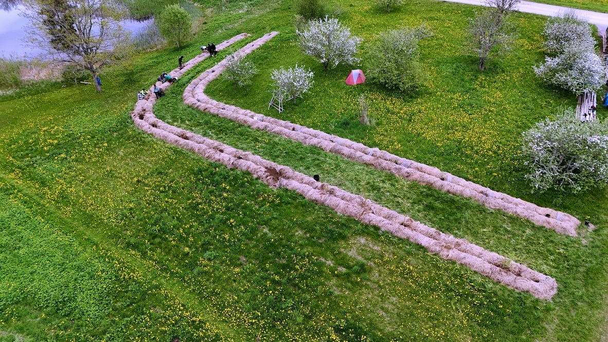 Zadiņi syntropic rows in spring