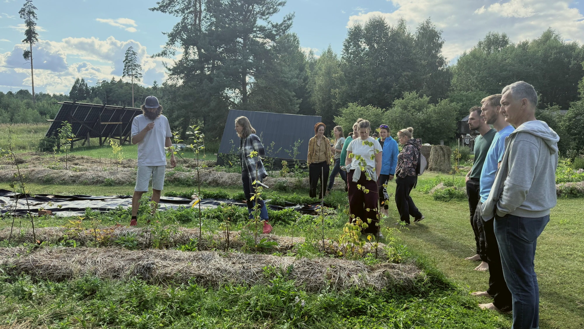 A syntropic garden workshop among straw-mulched rows