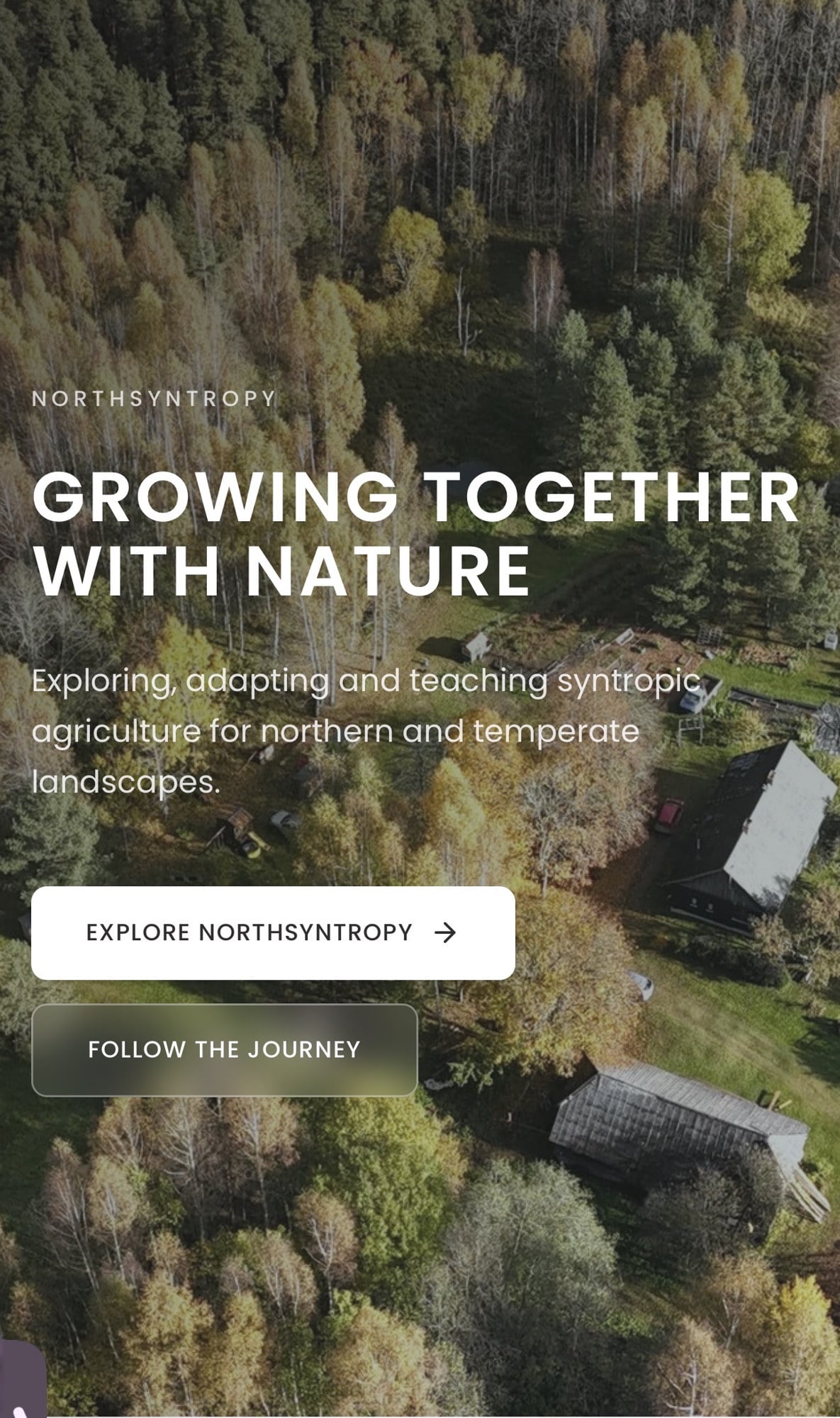 Online learning pathway